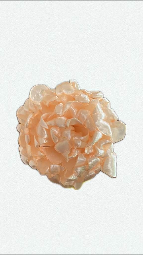 Peachy pivoine
