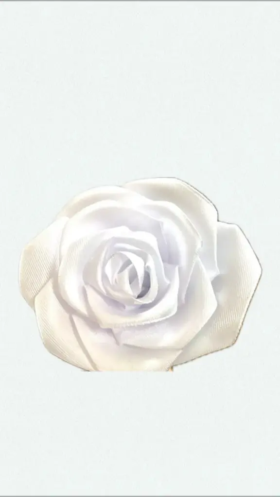 Snow rose