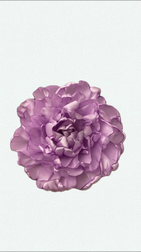 Lilas pivoine