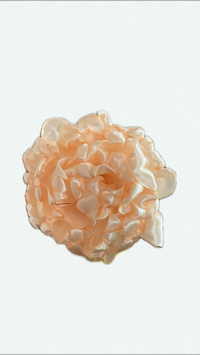 Peachy pivoine
