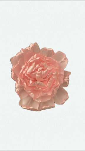 Sweet pivoine