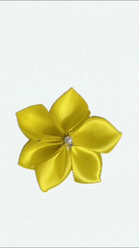 Sunny plumeria
