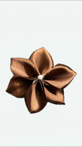 Cacao plumeria
