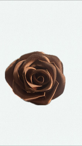 Cacao rose