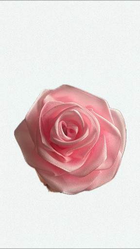 Sweet rose