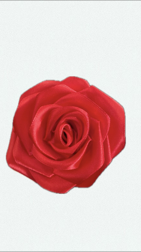 Love rose