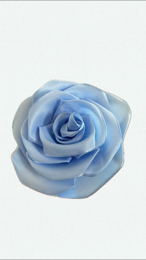 Sky rose