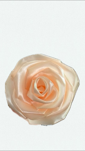 Peachy rose