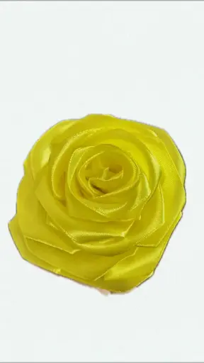 Sunny rose