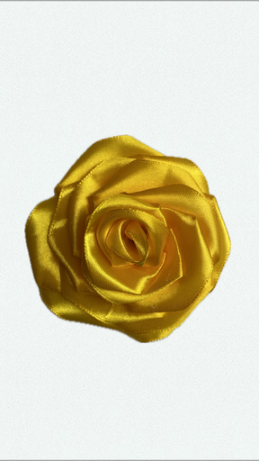 Summer rose