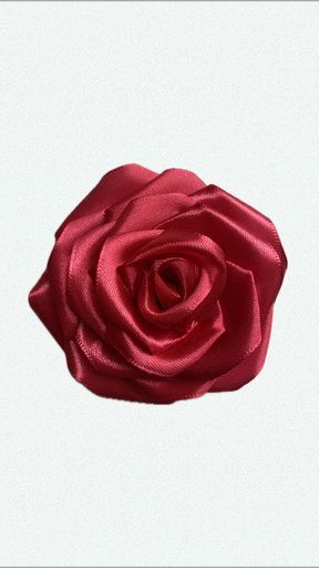 Passion rose