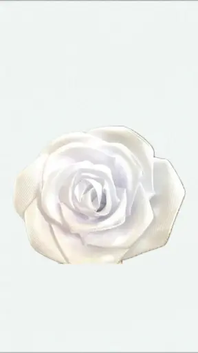 Snow rose