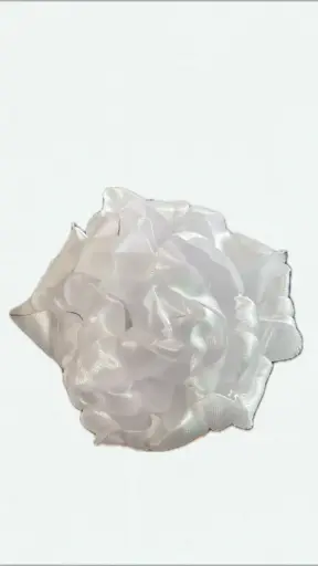 Snow pivoine